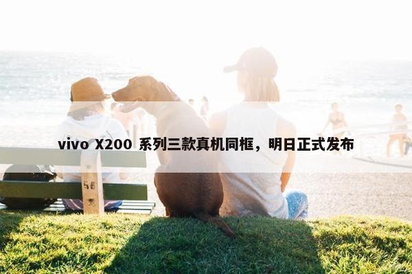 vivo X200 系列三款真机同框，明日正式发布