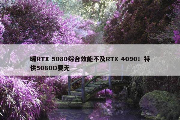 曝RTX 5080综合效能不及RTX 4090！特供5080D要无