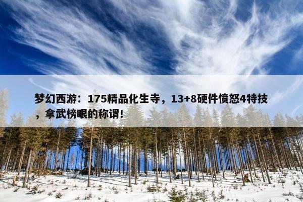 梦幻西游：175精品化生寺，13+8硬件愤怒4特技，拿武榜眼的称谓！