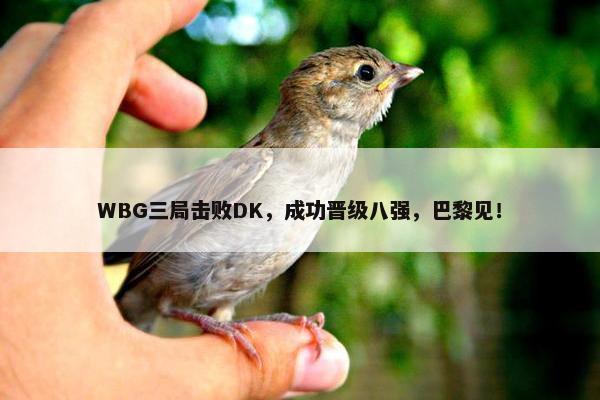 WBG三局击败DK，成功晋级八强，巴黎见！