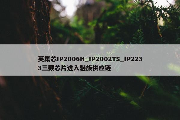 英集芯IP2006H_IP2002TS_IP2233三颗芯片进入魅族供应链