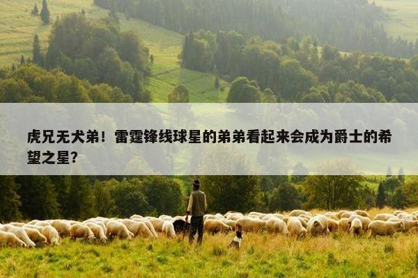 虎兄无犬弟！雷霆锋线球星的弟弟看起来会成为爵士的希望之星？