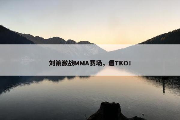 刘策激战MMA赛场，遭TKO！