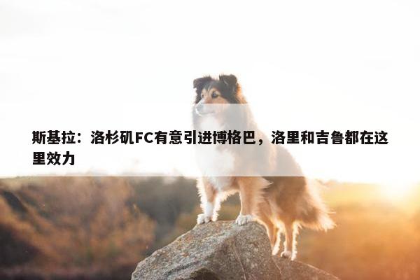 斯基拉：洛杉矶FC有意引进博格巴，洛里和吉鲁都在这里效力