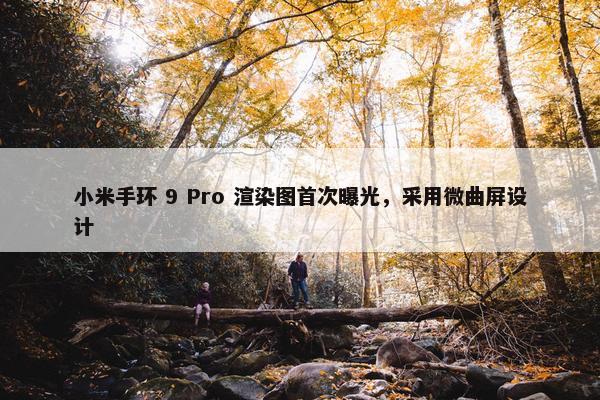 小米手环 9 Pro 渲染图首次曝光，采用微曲屏设计