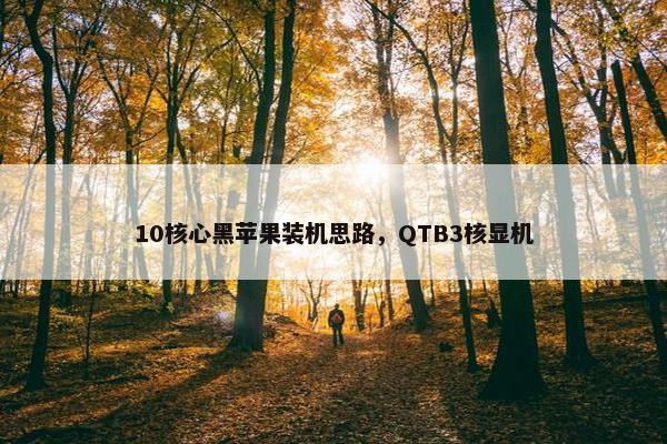 10核心黑苹果装机思路，QTB3核显机