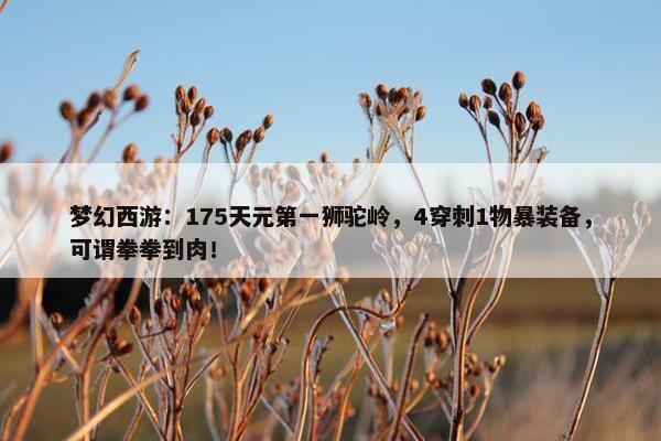 梦幻西游：175天元第一狮驼岭，4穿刺1物暴装备，可谓拳拳到肉！