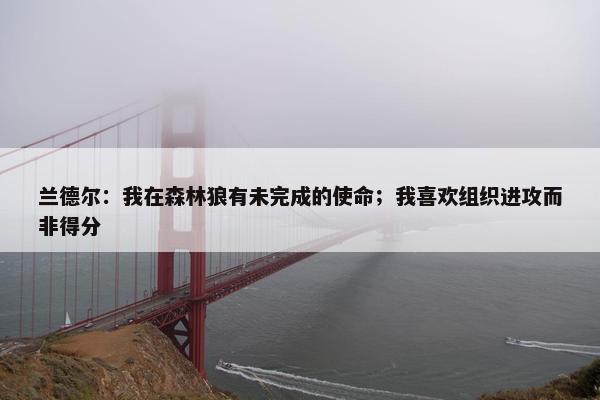 兰德尔：我在森林狼有未完成的使命；我喜欢组织进攻而非得分