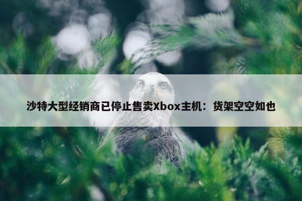 沙特大型经销商已停止售卖Xbox主机：货架空空如也