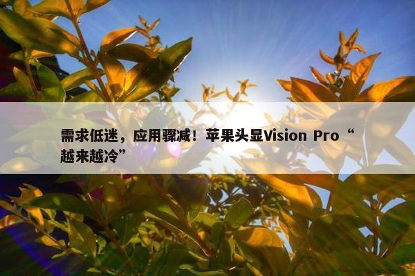 需求低迷，应用骤减！苹果头显Vision Pro“越来越冷”