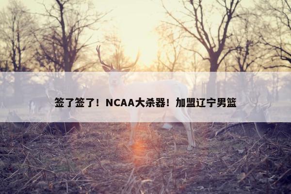 签了签了！NCAA大杀器！加盟辽宁男篮