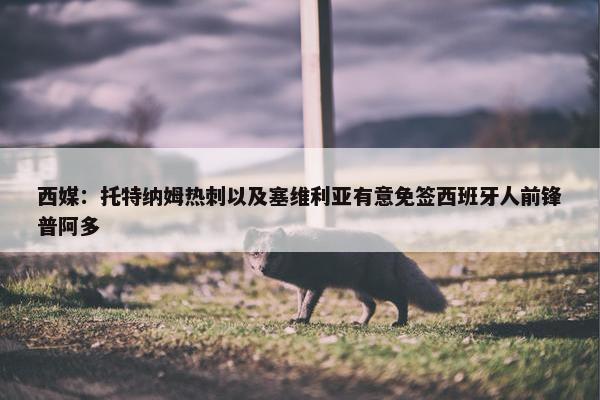 西媒：托特纳姆热刺以及塞维利亚有意免签西班牙人前锋普阿多