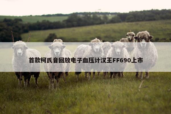 首款柯氏音回放电子血压计汉王FF690上市