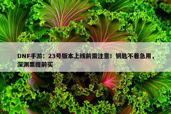 DNF手游：23号版本上线前需注意！钥匙不着急用，深渊票提前买