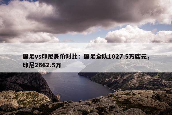 国足vs印尼身价对比：国足全队1027.5万欧元，印尼2662.5万