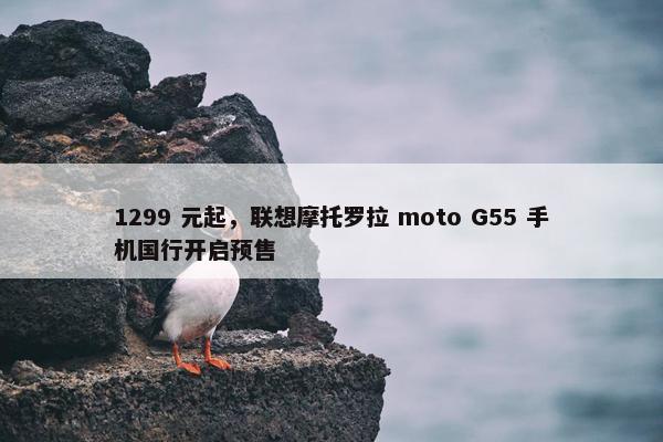 1299 元起，联想摩托罗拉 moto G55 手机国行开启预售