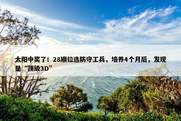 太阳中奖了！28顺位选防守工兵，培养4个月后，发现是“顶级3D”