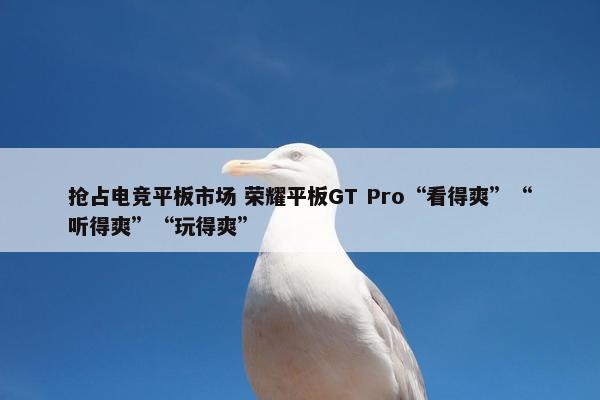 抢占电竞平板市场 荣耀平板GT Pro“看得爽”“听得爽”“玩得爽”