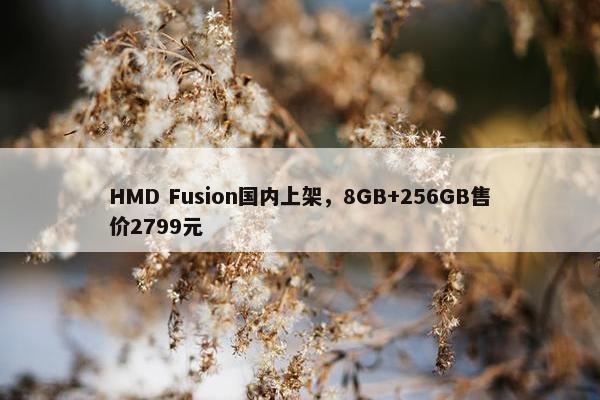 HMD Fusion国内上架，8GB+256GB售价2799元