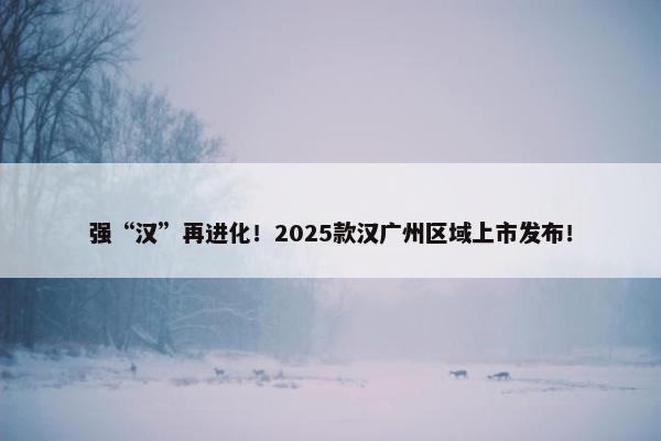 强“汉”再进化！2025款汉广州区域上市发布！