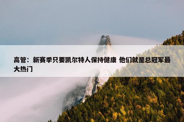 高管：新赛季只要凯尔特人保持健康 他们就是总冠军最大热门