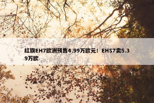 红旗EH7欧洲预售4.99万欧元！EHS7卖5.39万欧