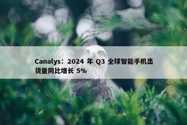 Canalys：2024 年 Q3 全球智能手机出货量同比增长 5%