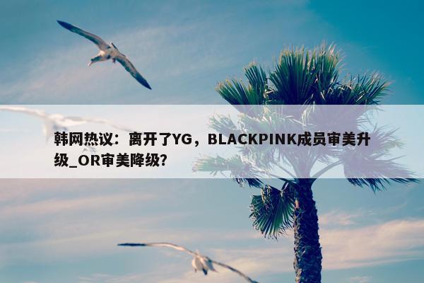 韩网热议：离开了YG，BLACKPINK成员审美升级_OR审美降级？