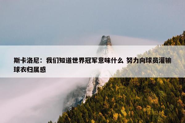 斯卡洛尼：我们知道世界冠军意味什么 努力向球员灌输球衣归属感