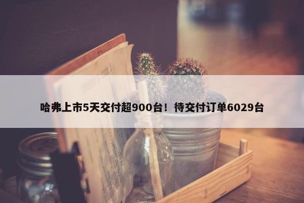 哈弗上市5天交付超900台！待交付订单6029台