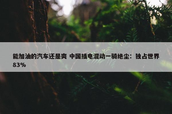 能加油的汽车还是爽 中国插电混动一骑绝尘：独占世界83%