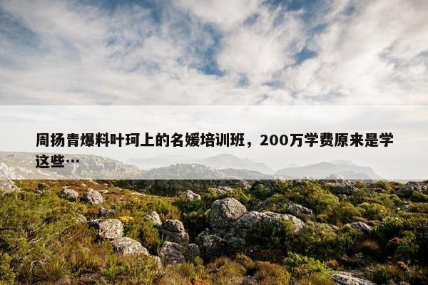 周扬青爆料叶珂上的名媛培训班，200万学费原来是学这些…