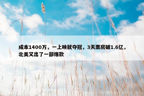 成本1400万，一上映就夺冠，3天票房破1.6亿，北美又出了一部爆款