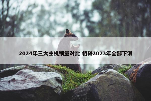 2024年三大主机销量对比 相较2023年全部下滑