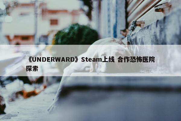 《UNDERWARD》Steam上线 合作恐怖医院探索