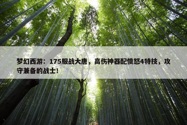 梦幻西游：175服战大唐，高伤神器配愤怒4特技，攻守兼备的战士！