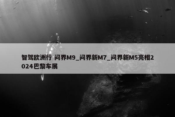 智驾欧洲行 问界M9_问界新M7_问界新M5亮相2024巴黎车展