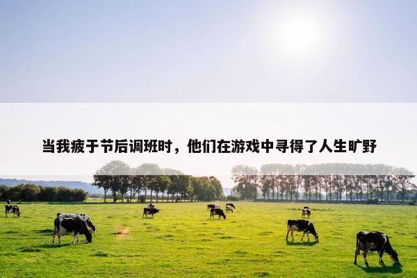 当我疲于节后调班时，他们在游戏中寻得了人生旷野