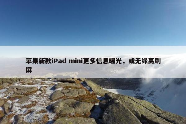 苹果新款iPad mini更多信息曝光，或无缘高刷屏