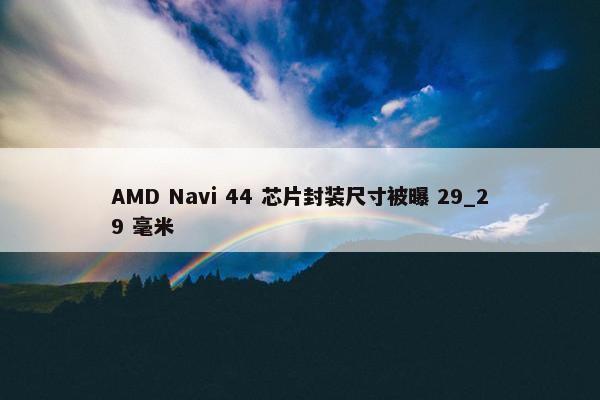 AMD Navi 44 芯片封装尺寸被曝 29_29 毫米