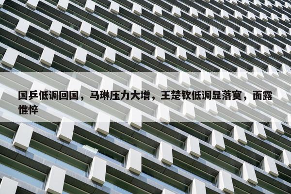 国乒低调回国，马琳压力大增，王楚钦低调显落寞，面露憔悴