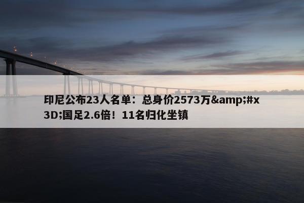 印尼公布23人名单：总身价2573万&#x3D;国足2.6倍！11名归化坐镇