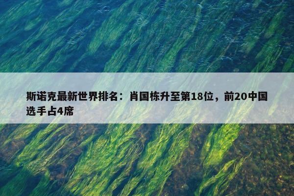 斯诺克最新世界排名：肖国栋升至第18位，前20中国选手占4席