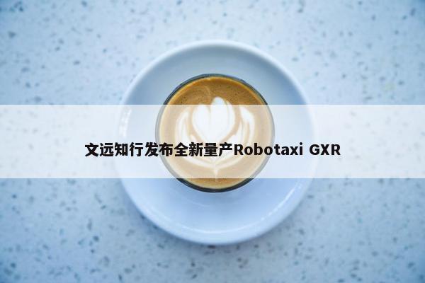 文远知行发布全新量产Robotaxi GXR