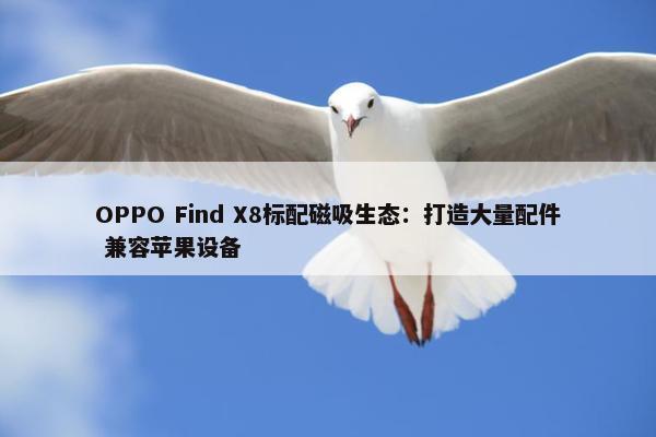 OPPO Find X8标配磁吸生态：打造大量配件 兼容苹果设备