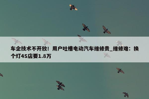 车企技术不开放！用户吐槽电动汽车维修贵_维修难：换个灯4S店要1.8万