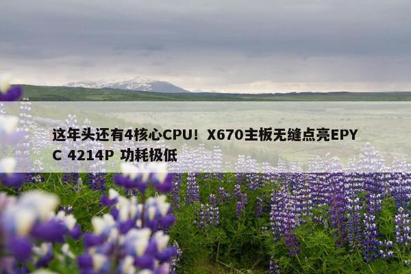 这年头还有4核心CPU！X670主板无缝点亮EPYC 4214P 功耗极低