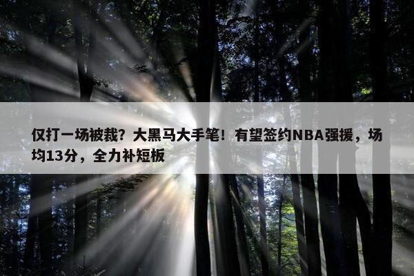 仅打一场被裁？大黑马大手笔！有望签约NBA强援，场均13分，全力补短板