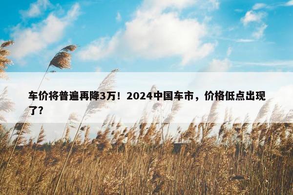 车价将普遍再降3万！2024中国车市，价格低点出现了？