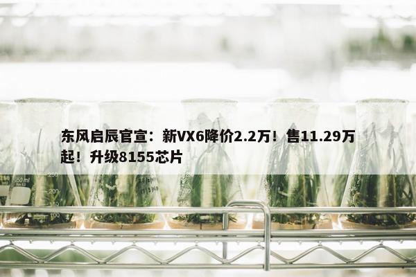 东风启辰官宣：新VX6降价2.2万！售11.29万起！升级8155芯片